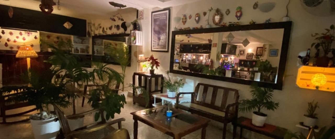 Hotel La Piazzetta Merida Luaran gambar
